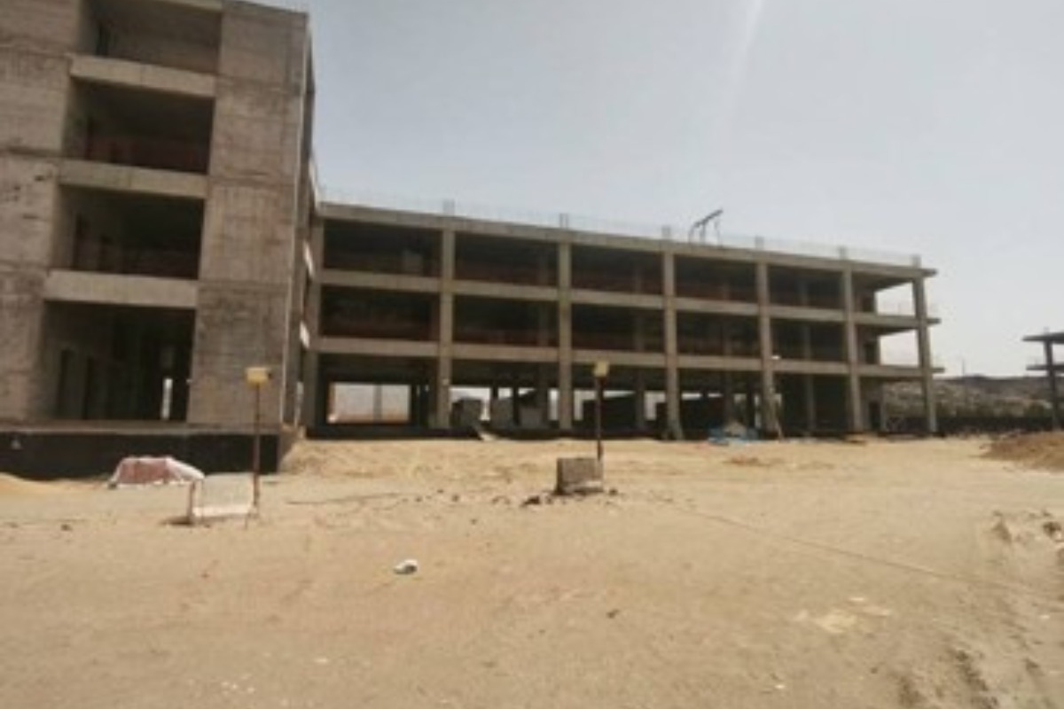 صورة 2