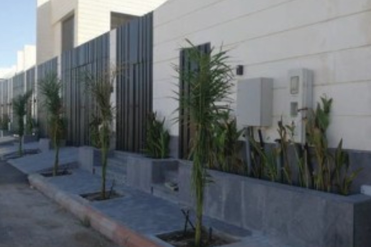 صورة 2