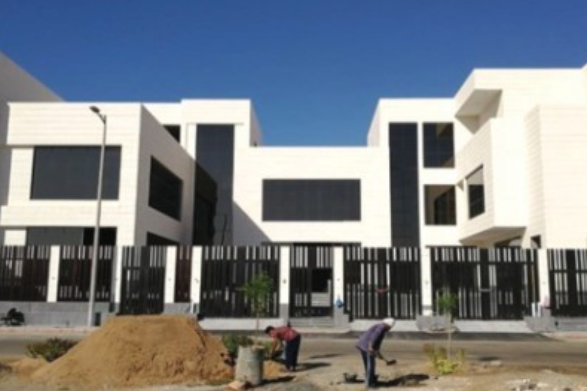 صورة 3
